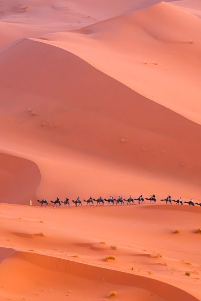 Караван в Сахаре
